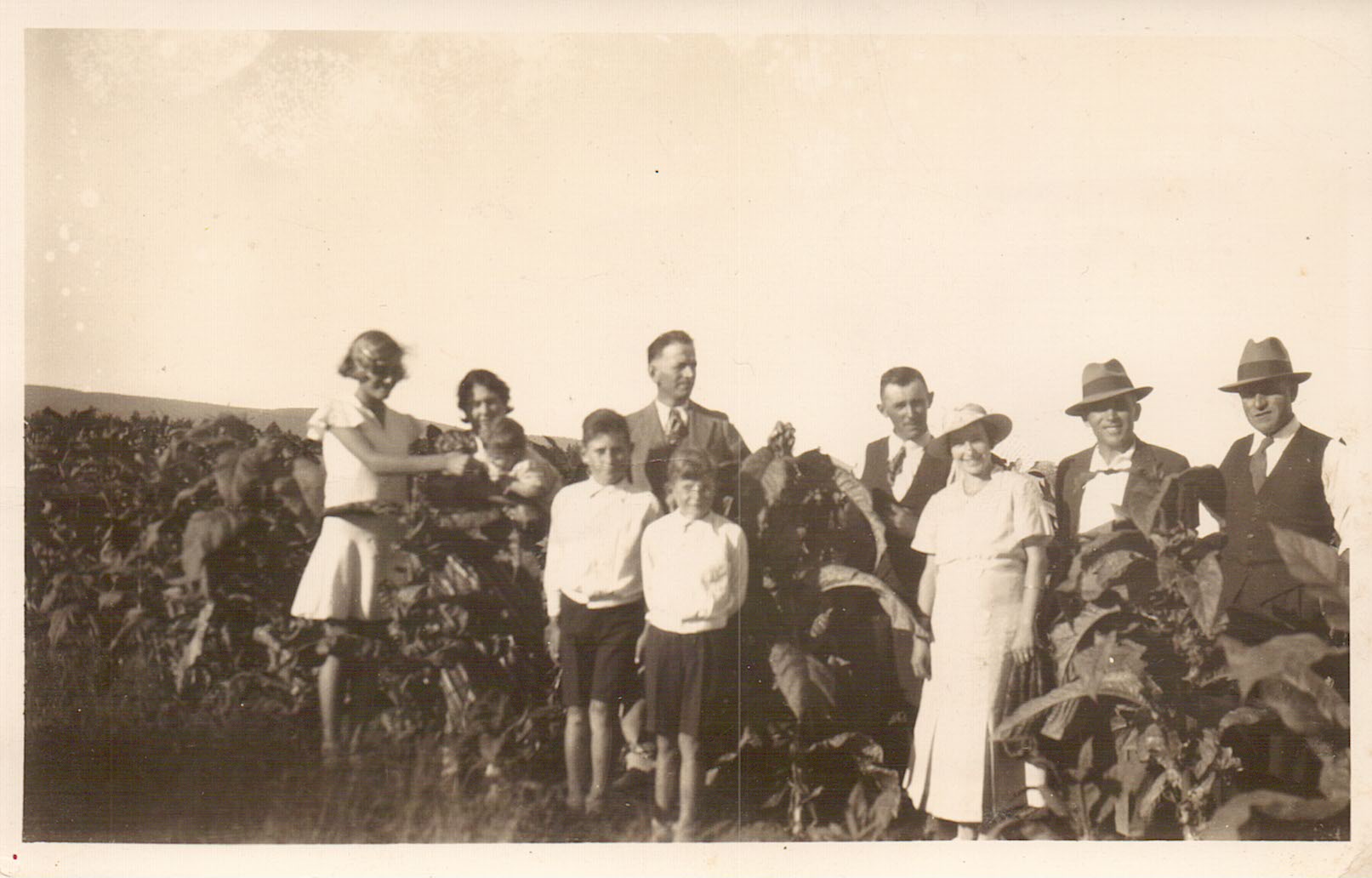 Bianchini farm history